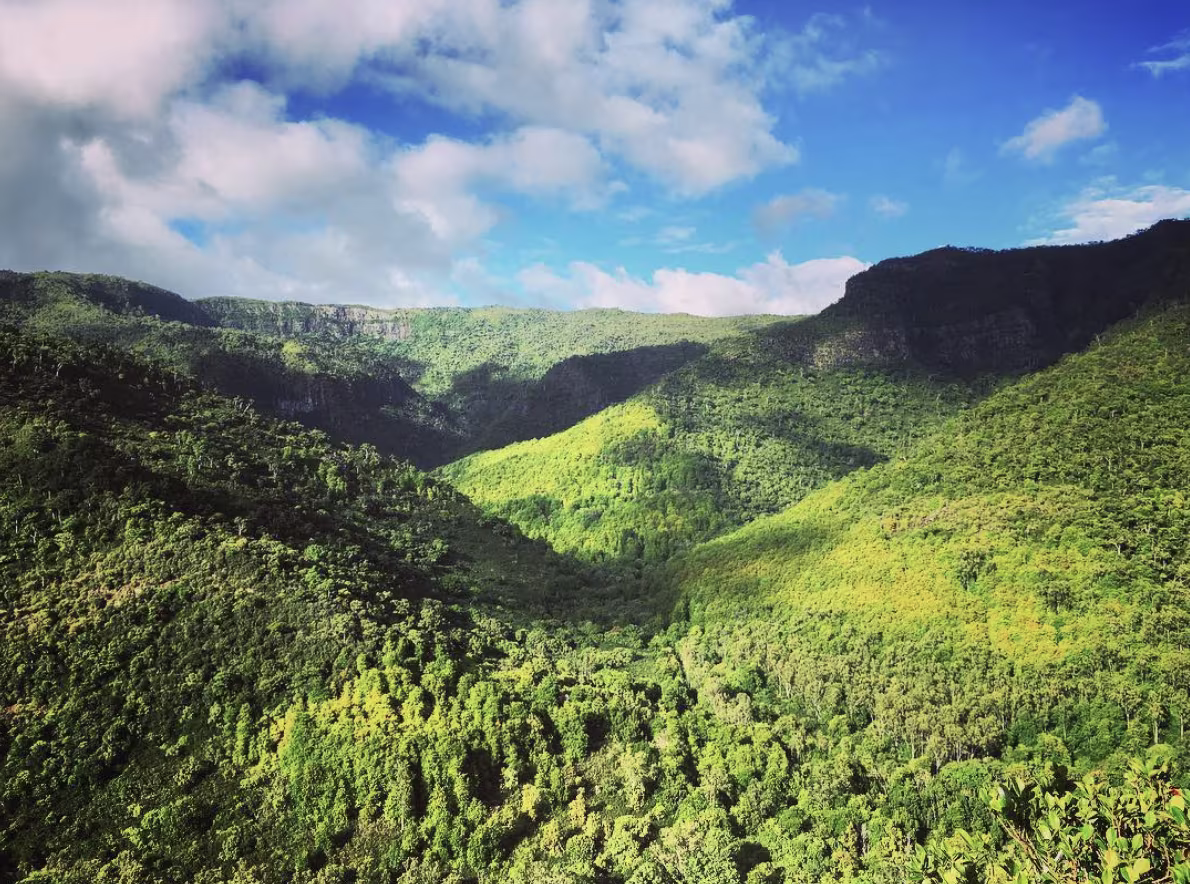 Black River Gorges National Park in Mauritius