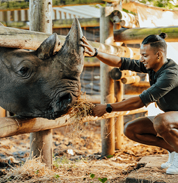 Casela Nature Parks in Mauritius