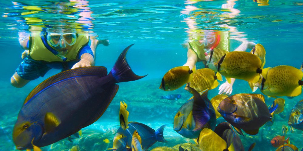 Blue Bay Marine Park in Mauritius