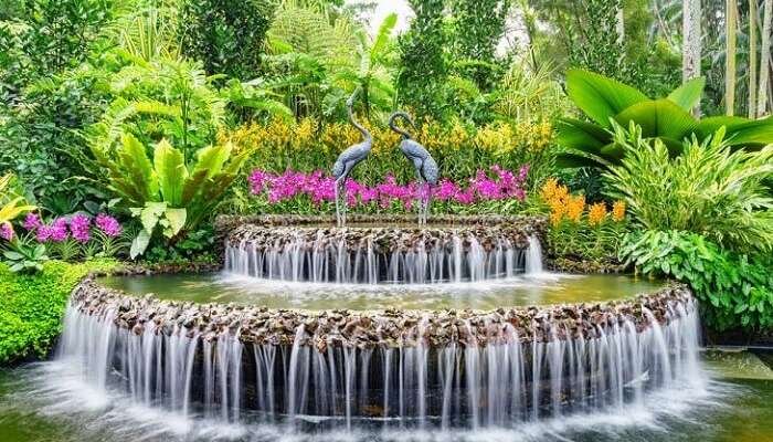 Sir Seewoosagur Ramgoolam Botanical Garden in Mauritius
